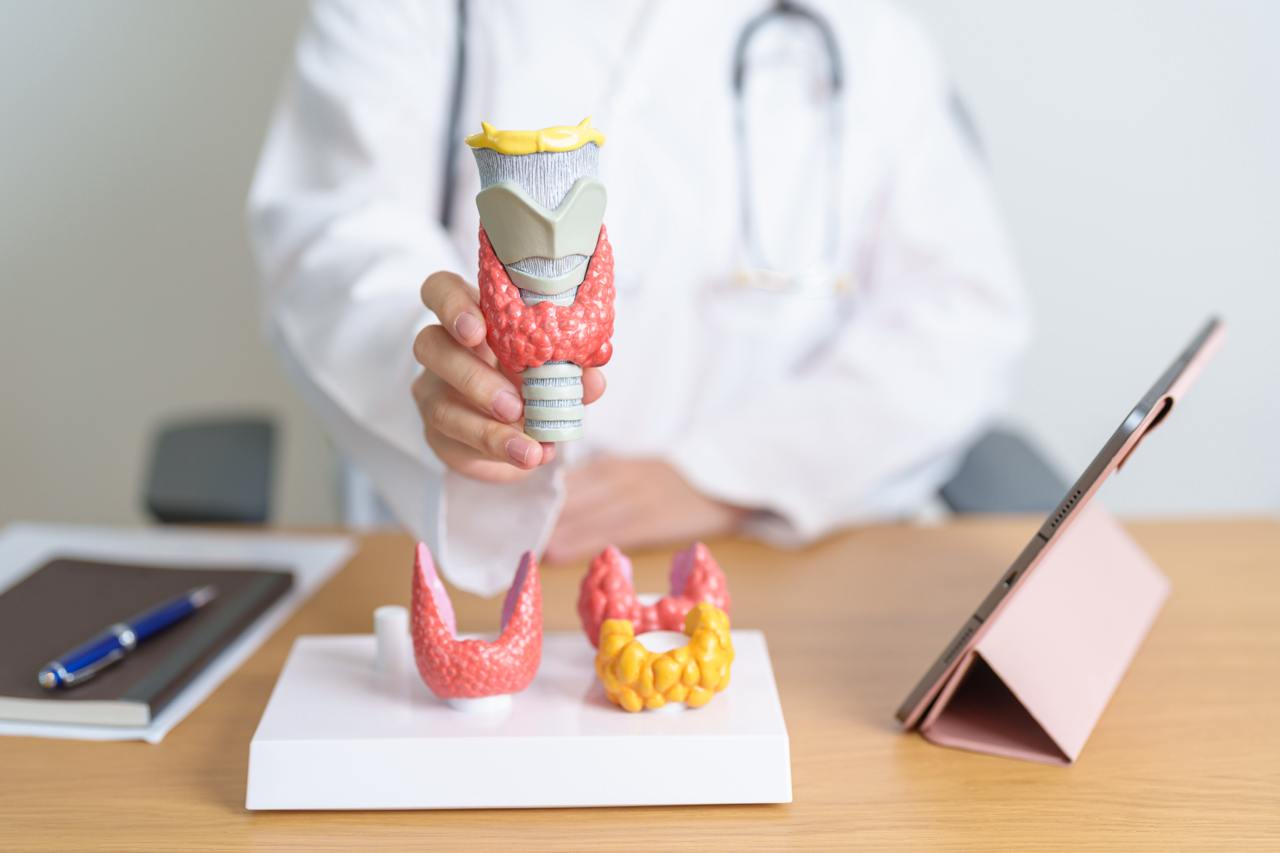 Memahami Peran Tes Darah dalam Menilai Kesehatan Tiroid